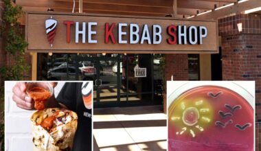 E. coli outbreak at center of California probe into The Kebab Shop