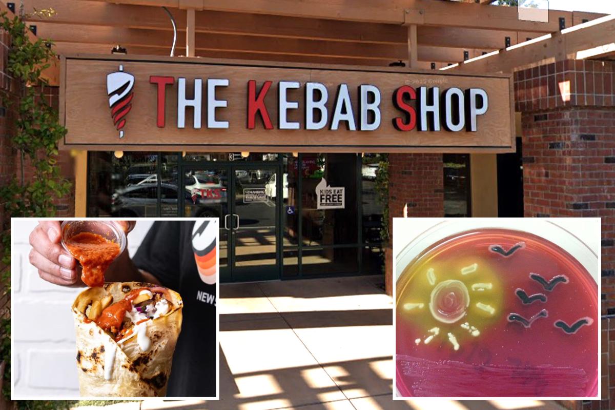 E. coli outbreak at center of California probe into The Kebab Shop