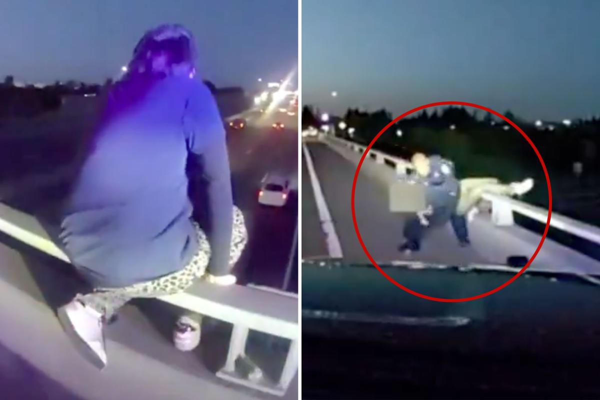 Sacramento Police save person leaning over freeway overpass