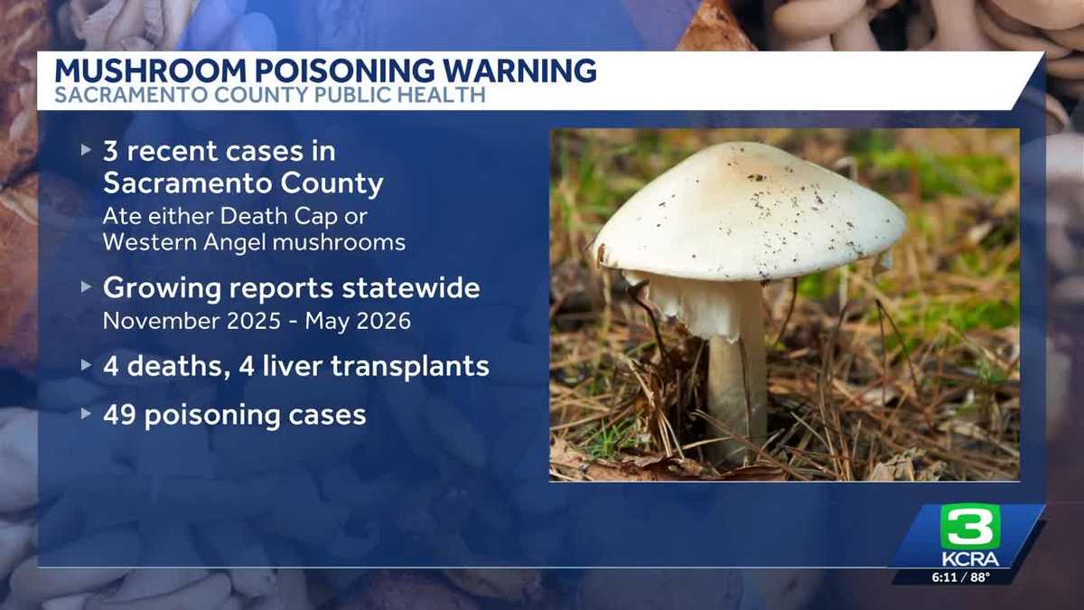 Sacramento County health officials issue warning after wild mushroom poisonings