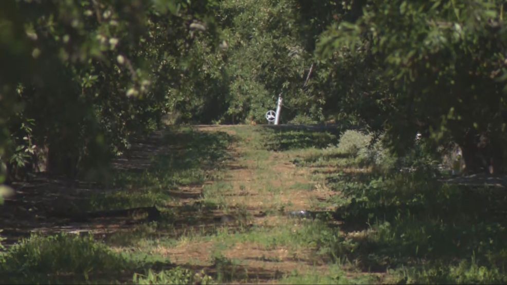 At least one person died after a vehicle crashed into the orchards near the Delano Municipal Airport Wednesday morning. PHOTO: KBAK/KBFX