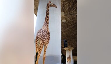 Iconic Oakland artist behind beloved giraffe mural dies at age 67