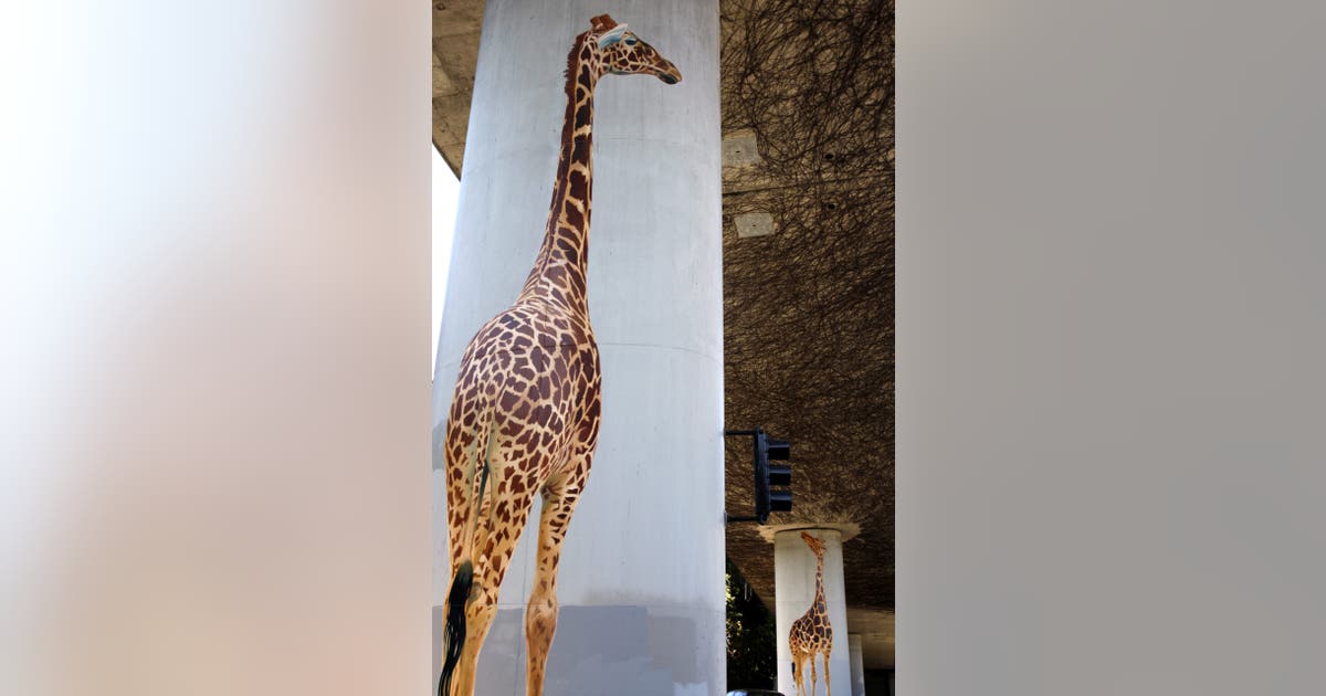 Iconic Oakland artist behind beloved giraffe mural dies at age 67