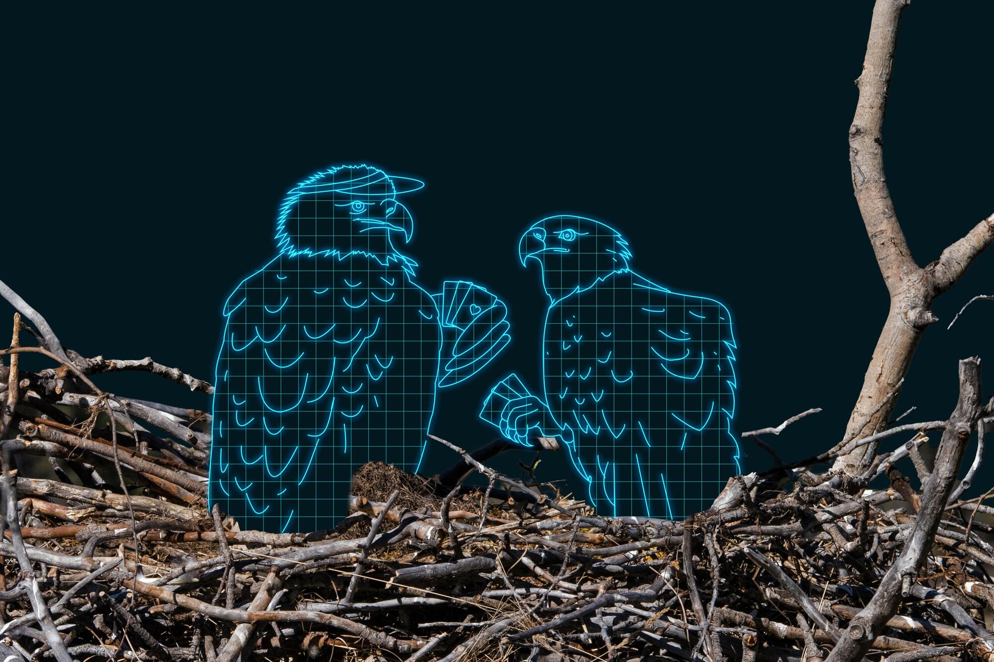 photo illustration of two glowing wireframe eagles playing poker in a real-life nest