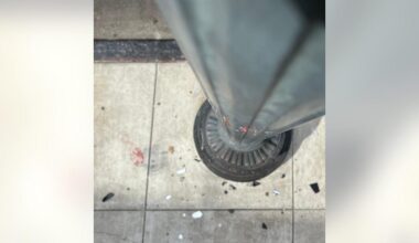 <div>Social media video showed a red Hyundai sedan driving recklessly on the sidewalk and crashing between a gate and a light post.</div>