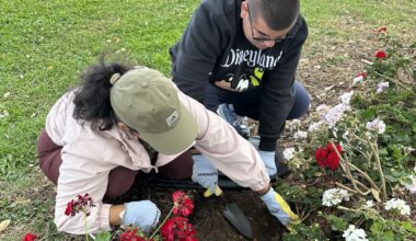 Casa de Mosaic helps adults with autism – and the Rolando community too