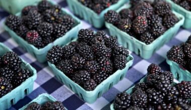 Markets open this weekend in Shafter, Kern County