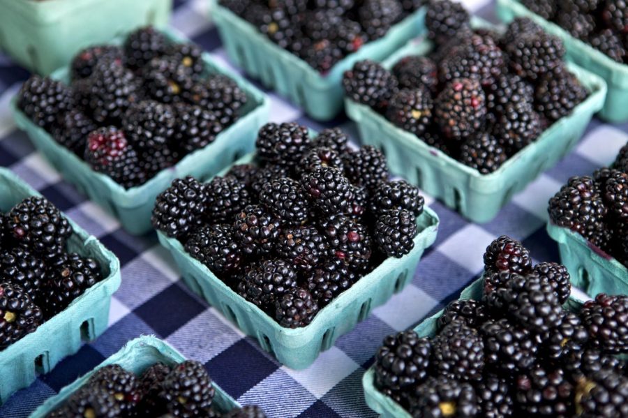 Markets open this weekend in Shafter, Kern County