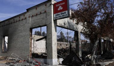 Regulator alleges State Farm’s wildfire response broke law 400 times