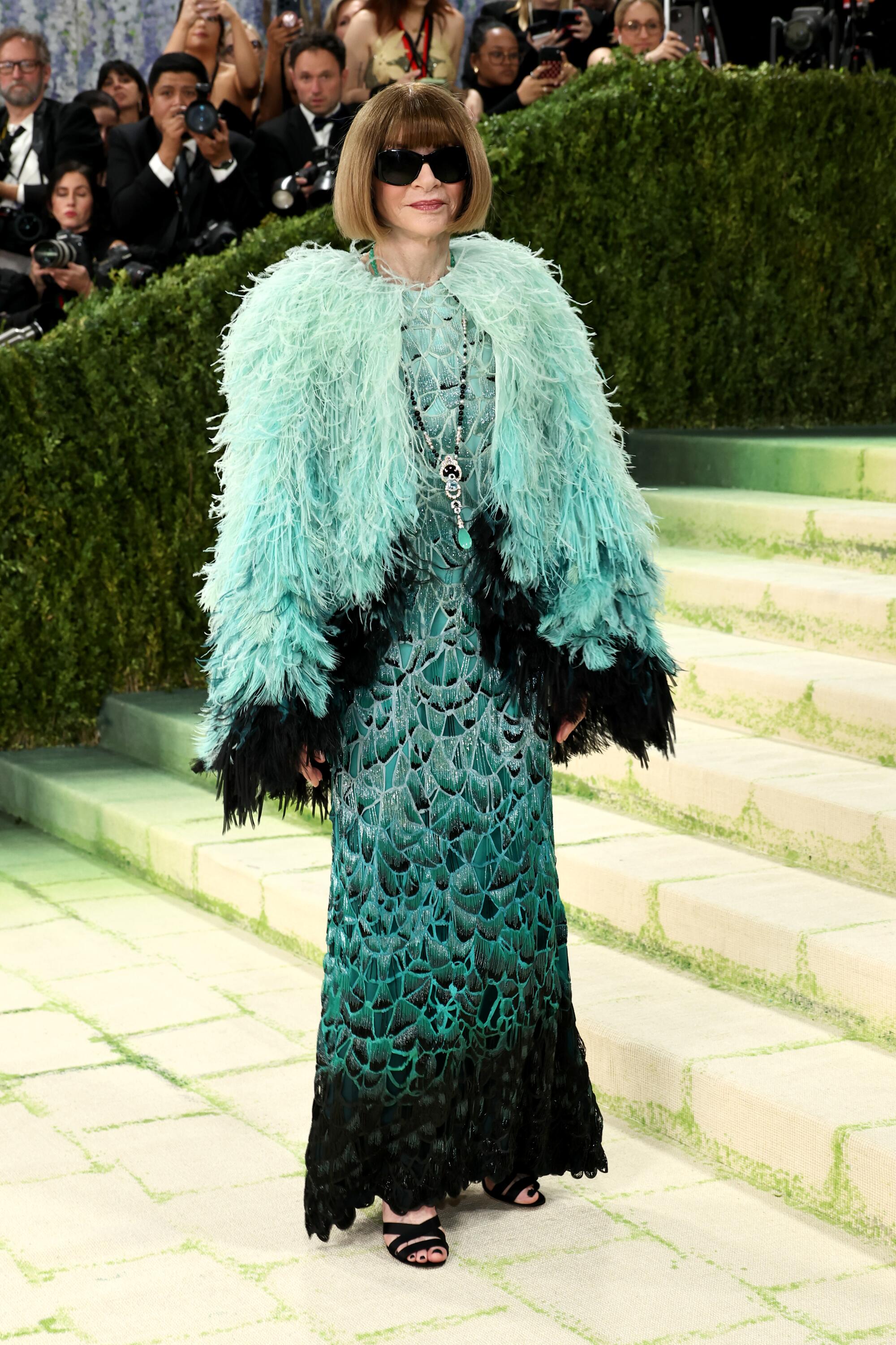 Anna Wintour, wearing a feather jacket and gown, poses at the Met Gala.
