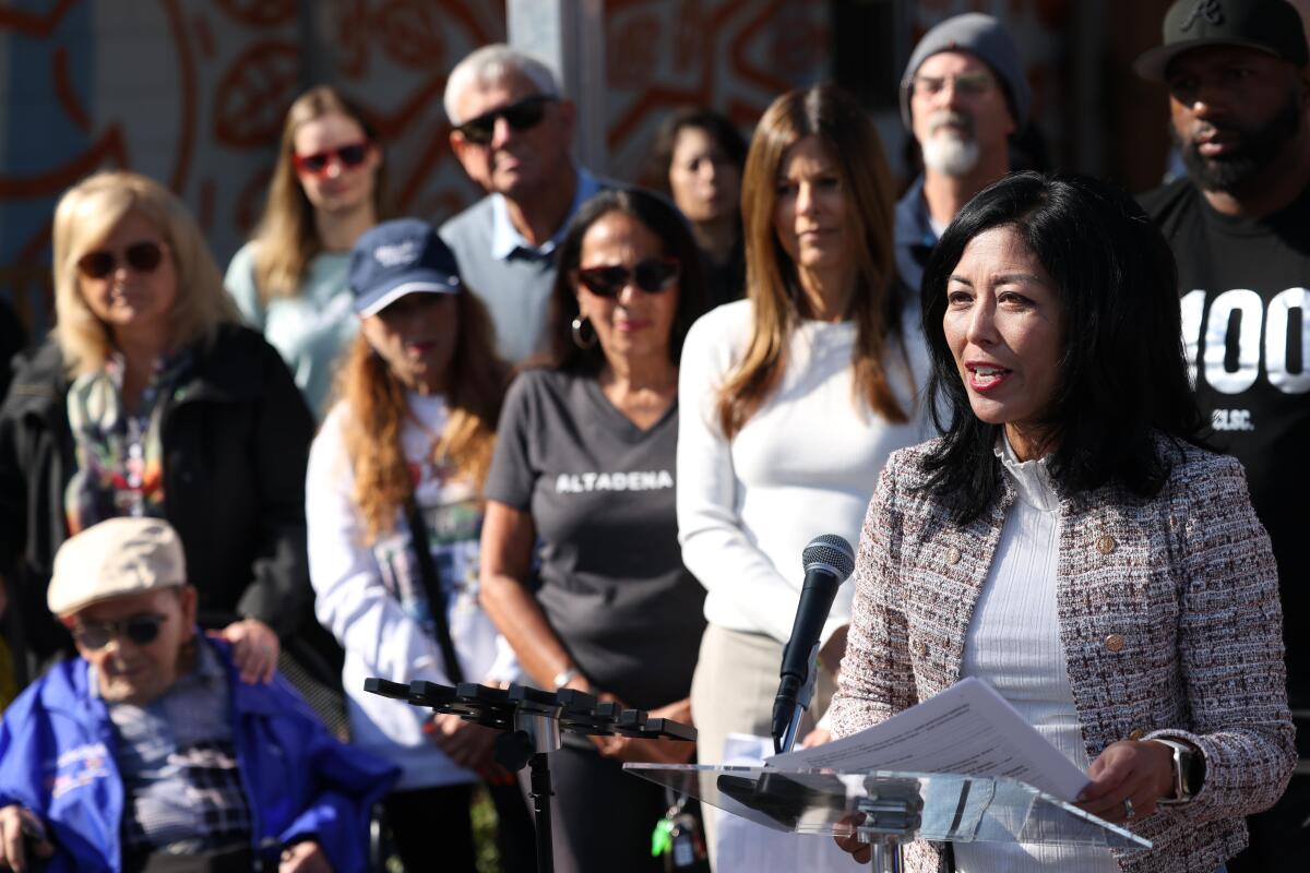Joy Chen speaks at a news conference