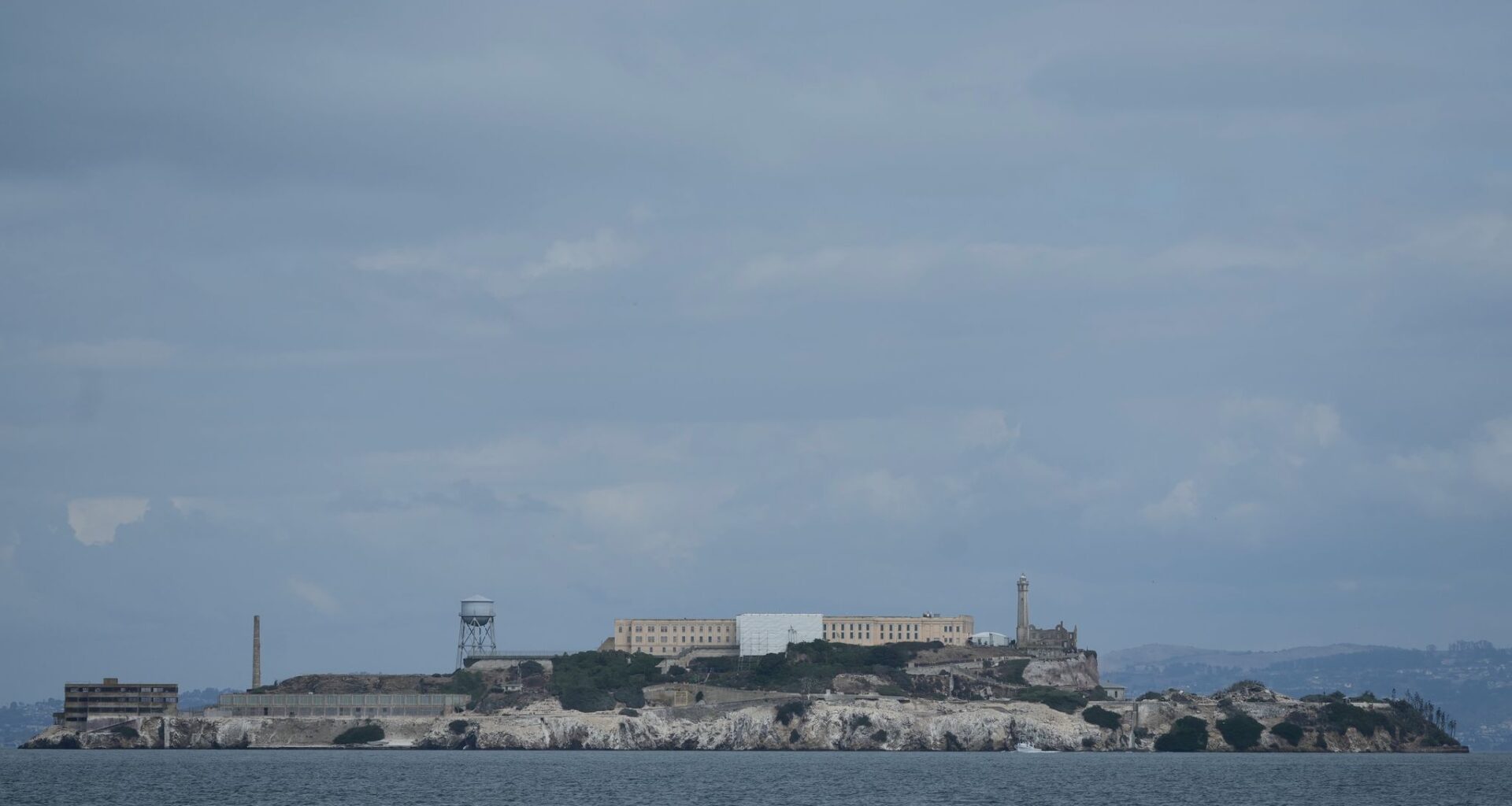 Male coyote swam 2 miles to Alcatraz Island, twice as far as biologists had expected