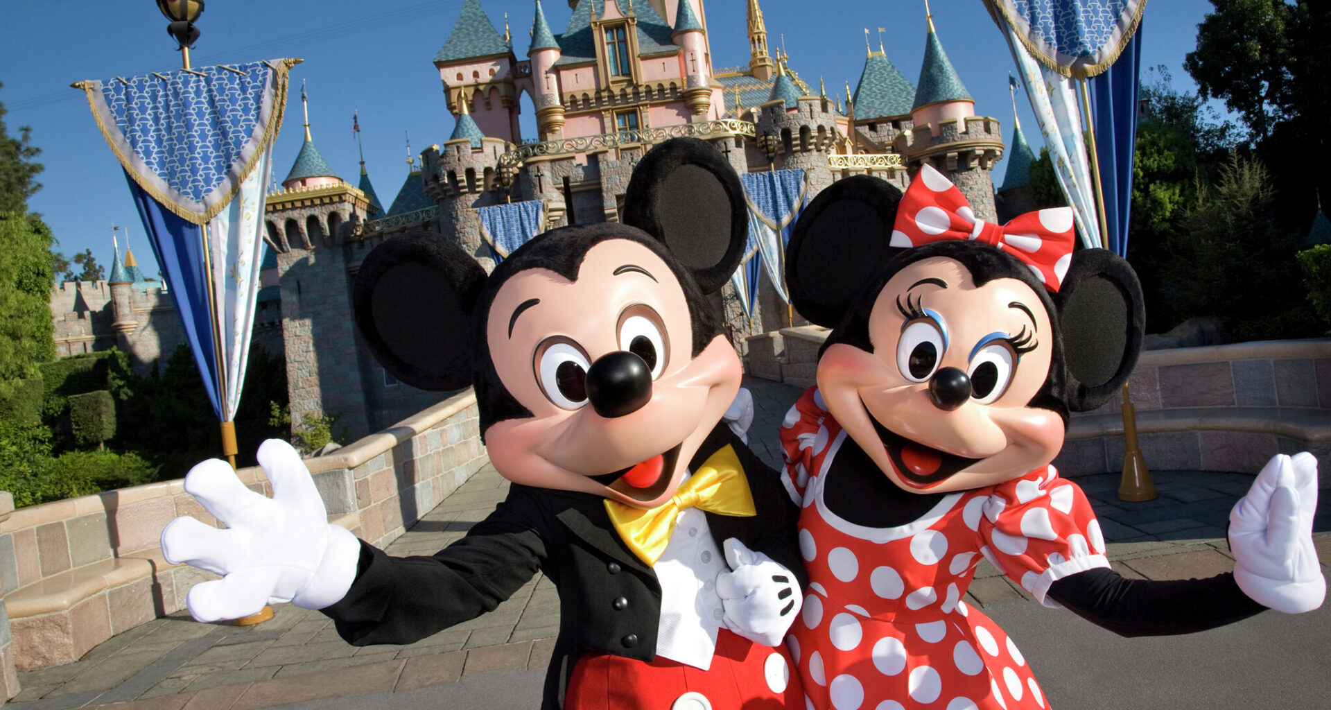California drivers could soon get Disneyland license plates