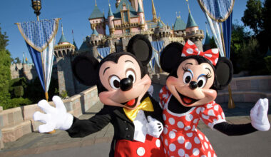 California drivers could soon get Disneyland license plates