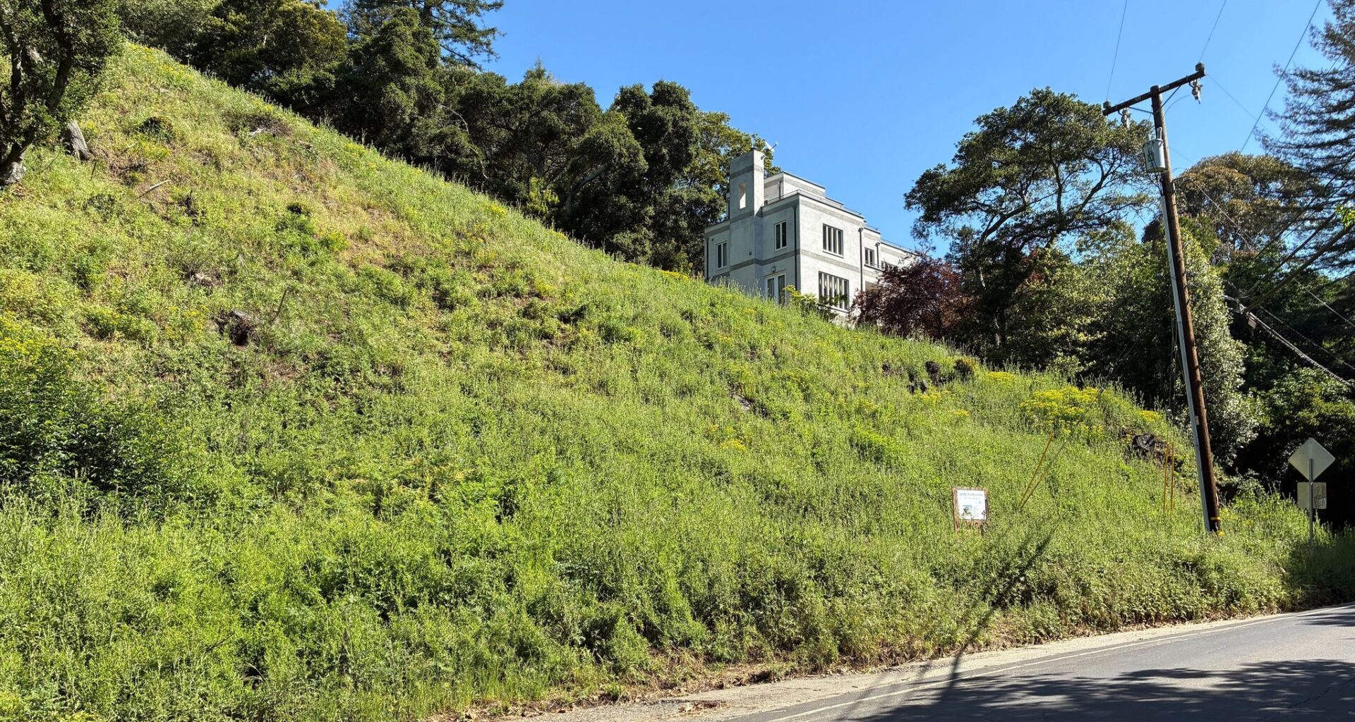 California landowners who cut 38 trees in Oakland hills hit with $915,000 fine