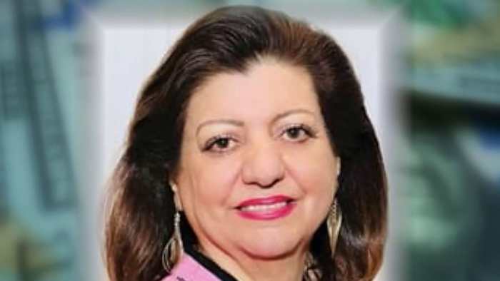 Oakland County woman accused of using $20M state grant to buy rugs, private dinners, home decor