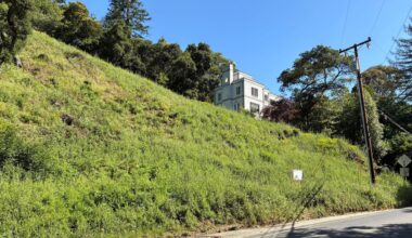 California landowners who cut 38 trees in Oakland hills hit with $915,000 fine