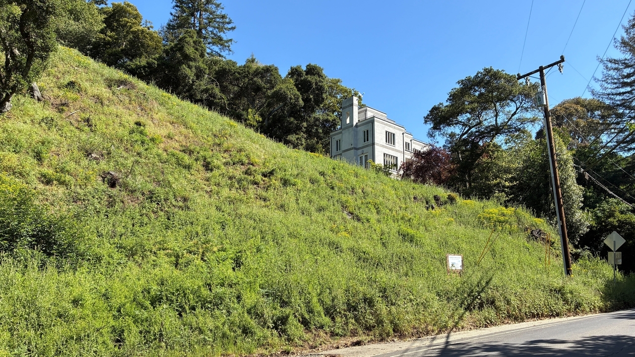 California landowners who cut 38 trees in Oakland hills hit with $915,000 fine