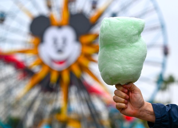 Mint Chocolate Chip Cotton Candy available at vending locations throughout the park the inside California Adventure at the Disneyland Resort on Friday, Nov. 14, 2025, in Anaheim, CA. (Photo by Jeff Gritchen, Orange County Register/SCNG)