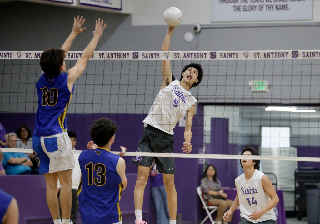 St. Anthony boys volleyball wins 5-set battle with Western Christian in quarterfinals – Press Telegram