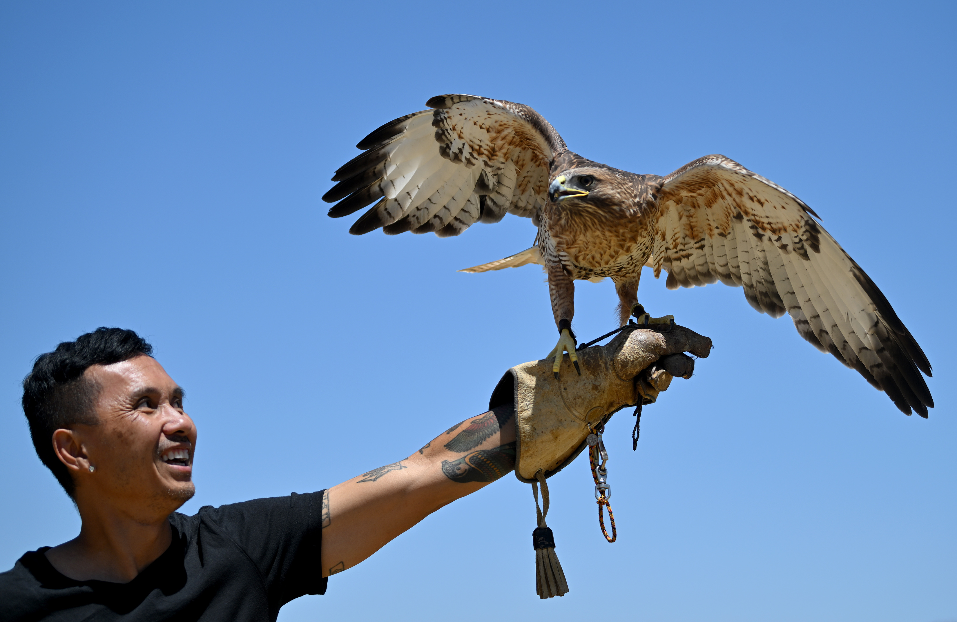 Chan Quach, known as âChan the Birdman,âa Los Angeles-based professional...