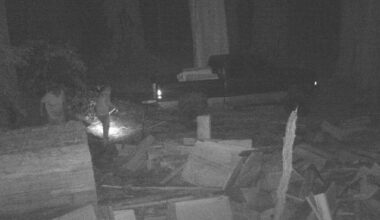 Poachers keep stealing redwood wood from California state park
