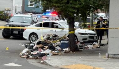 Police shoot driver trying to flee traffic stop