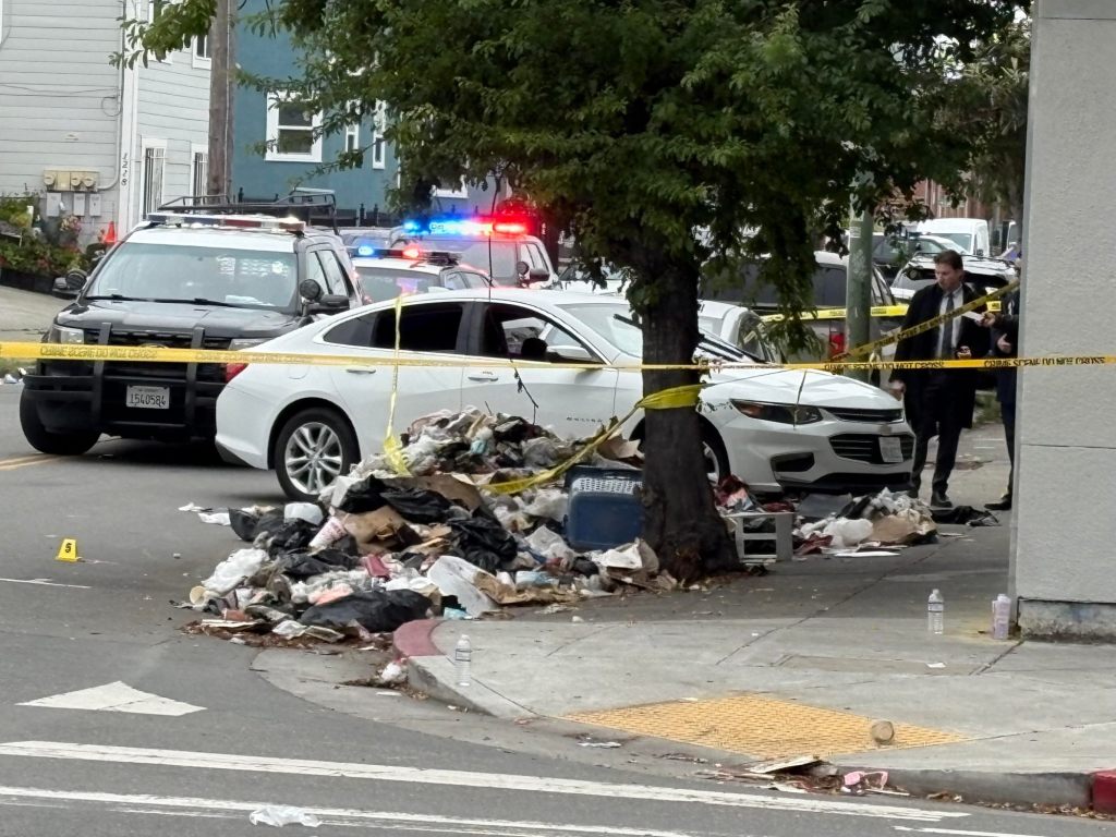 Police shoot driver trying to flee traffic stop