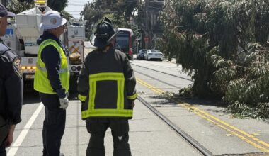 Fallen tree downs powerlines in SF, delays Muni line
