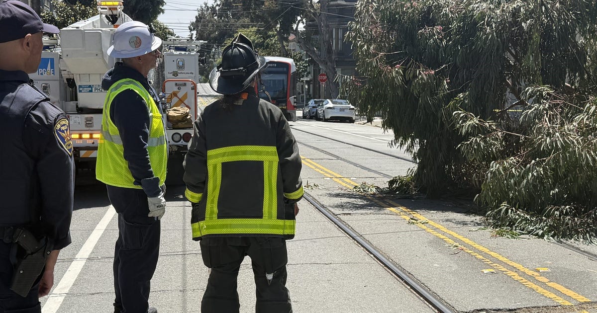 Fallen tree downs powerlines in SF, delays Muni line