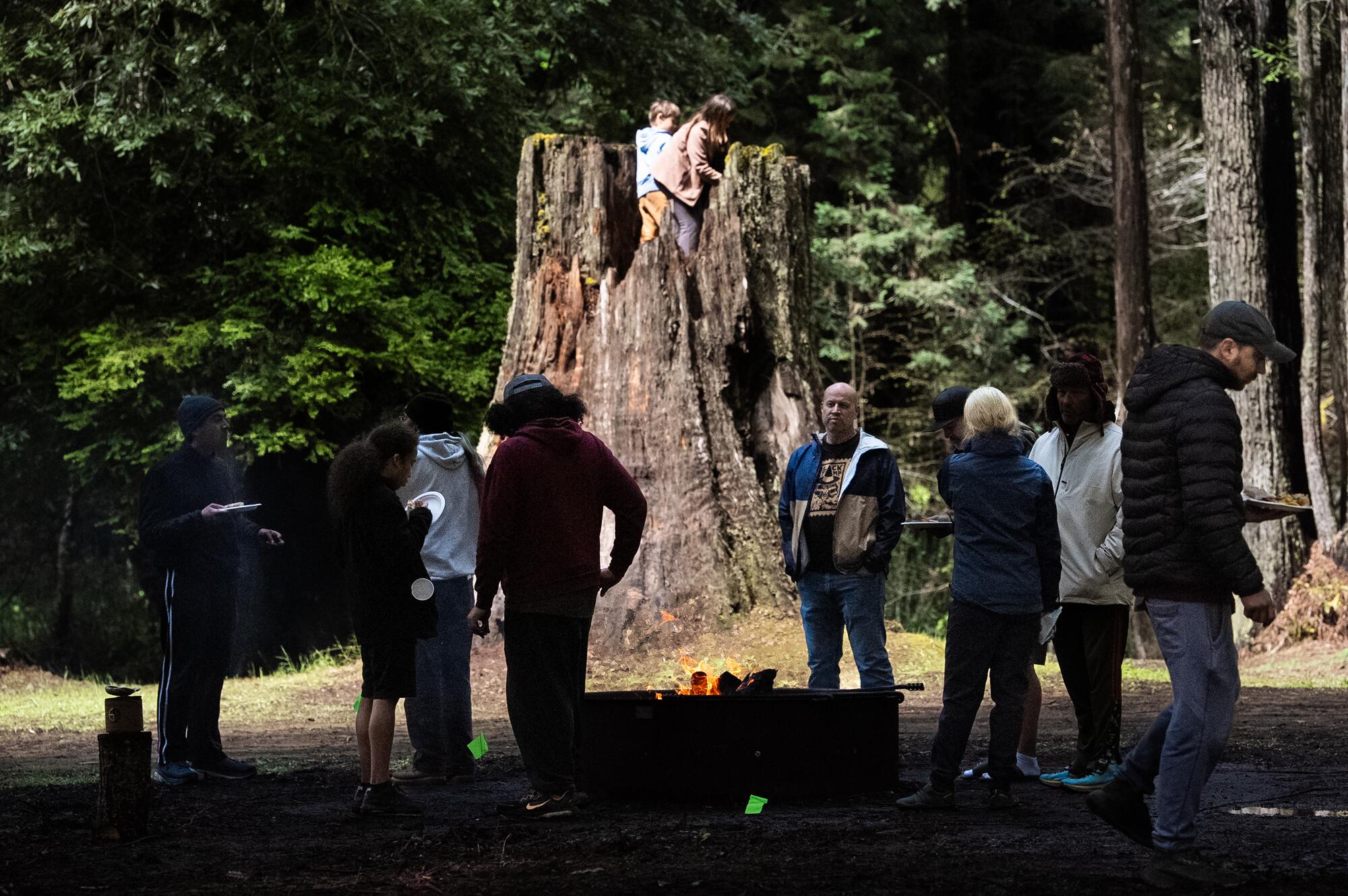 Kids play in an ancient redwood tree while tribe members join a potluck.