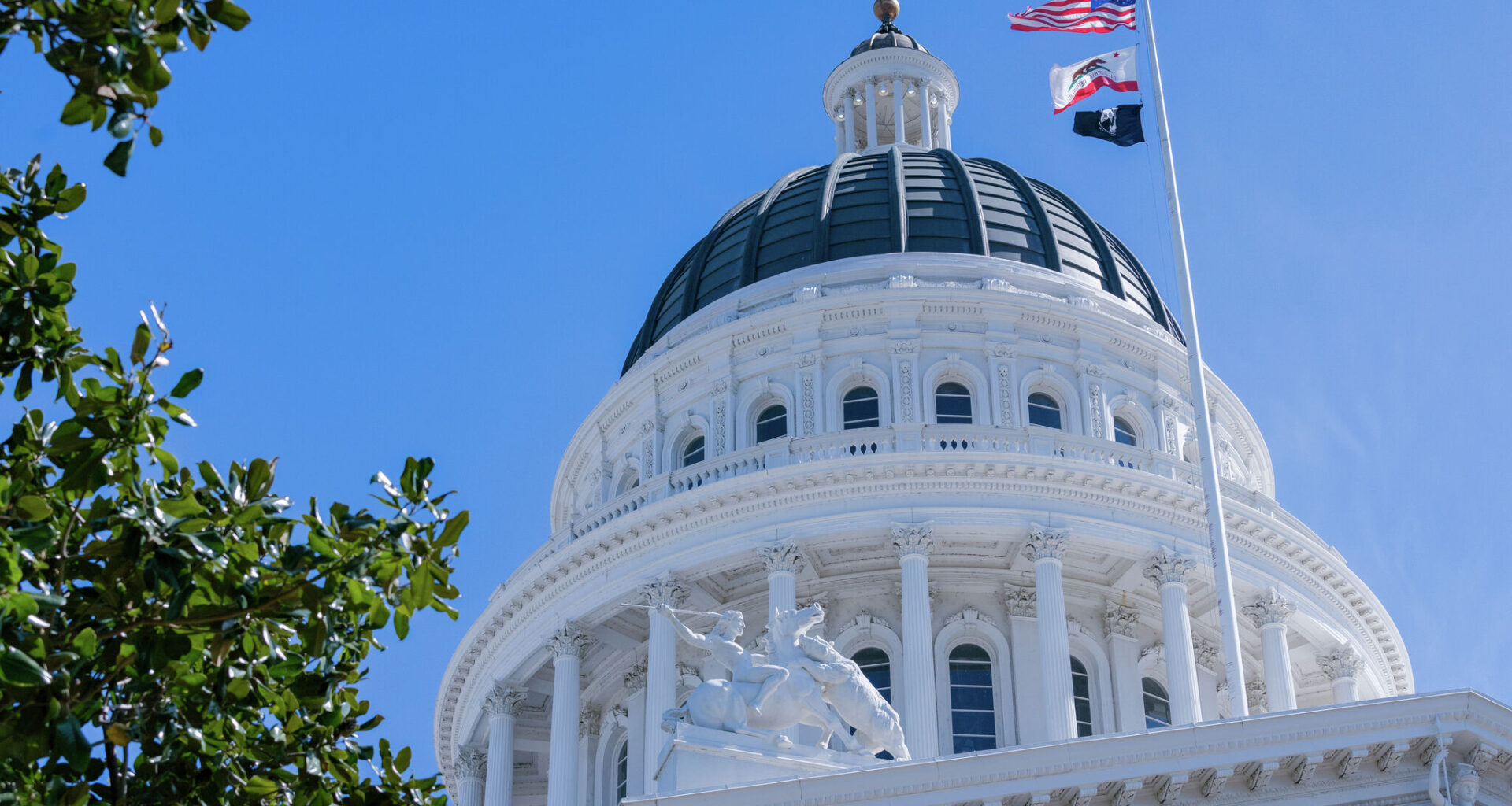 How California independence helps raise the governance bar globally