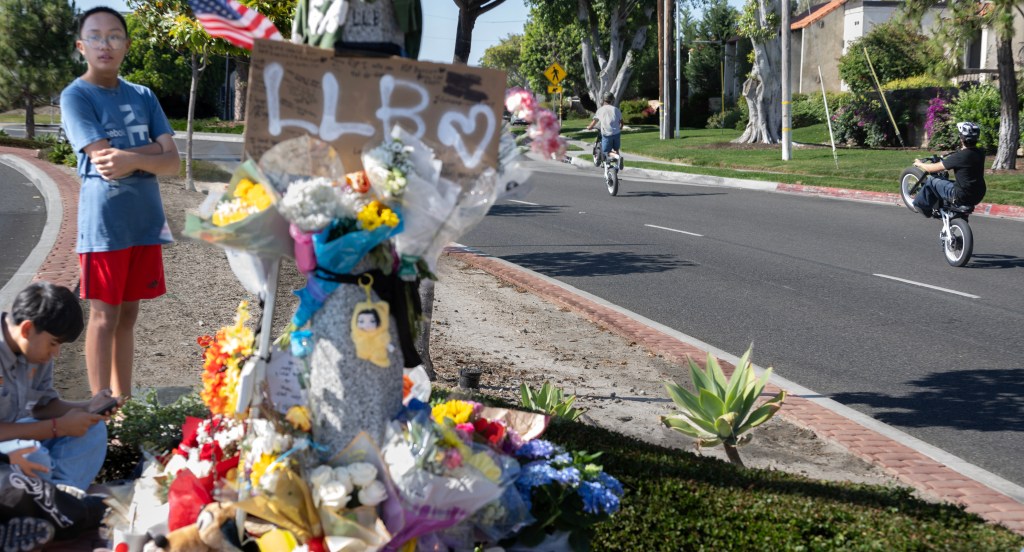 13-year-old killed in e-motorcycle crash is remembered for ‘lots of happy energy’ – Orange County Register
