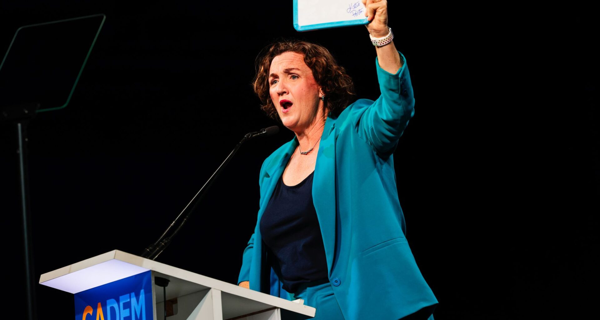 Porter’s temperament shouldn’t be issue in California governor race