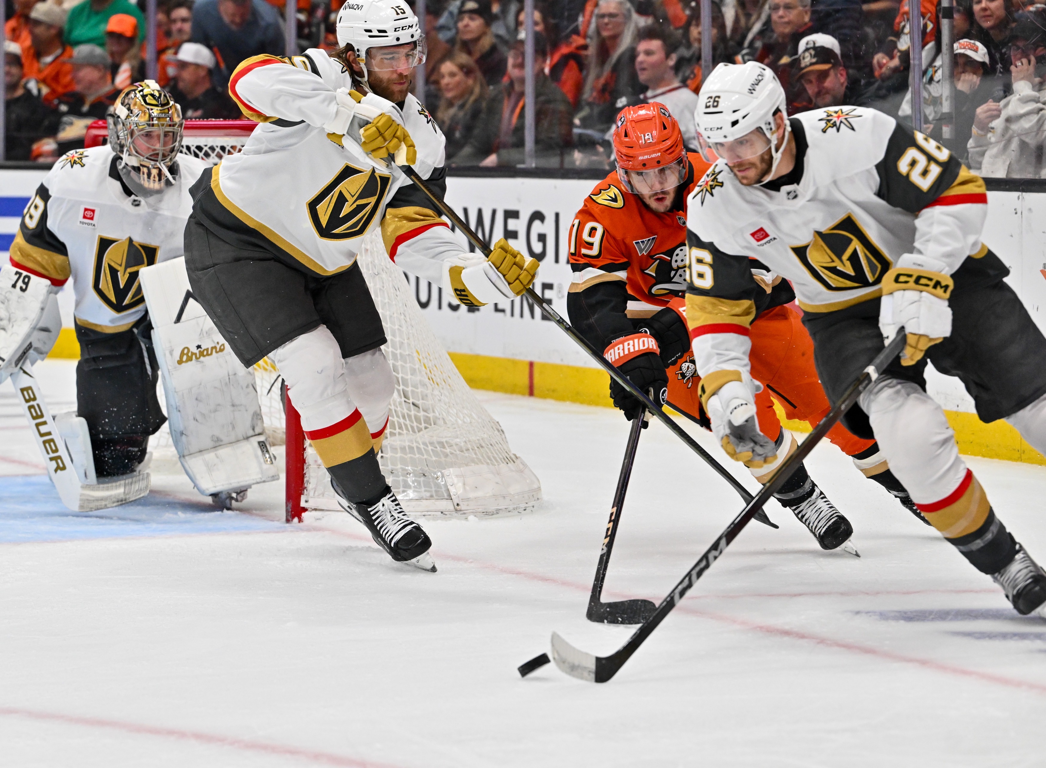 The Ducksâ Troy Terry (19) battle for the puck with...
