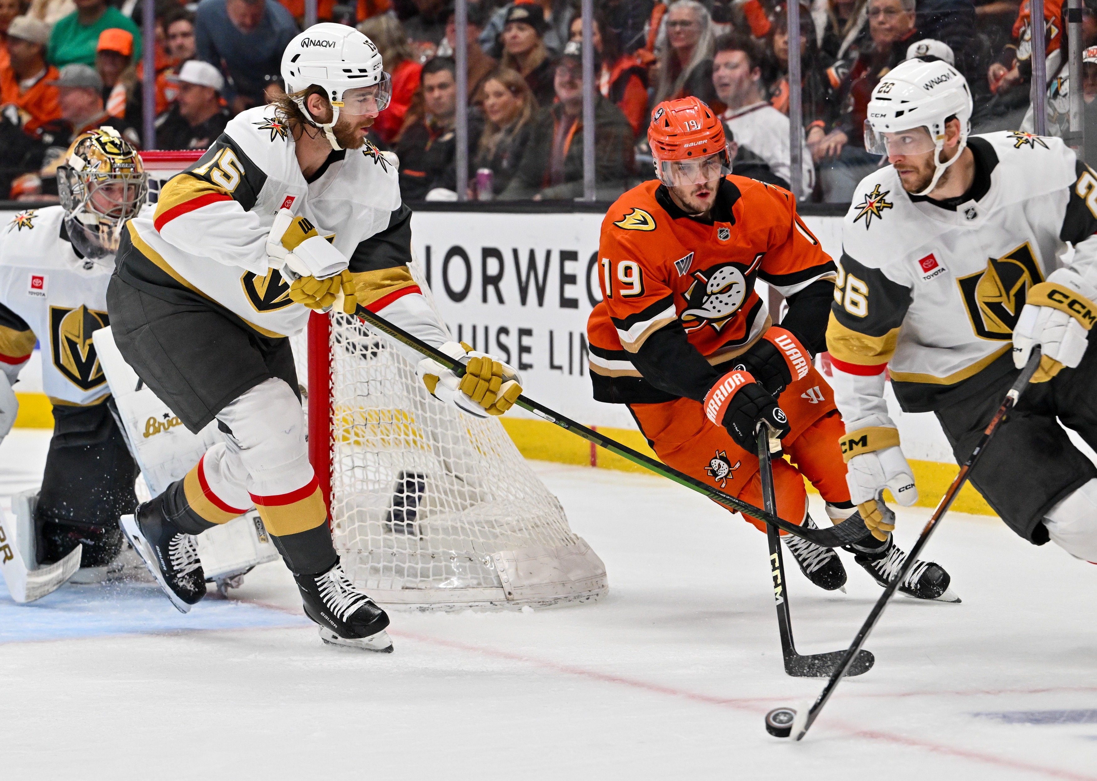 The Ducksâ Troy Terry (19) battle for the puck with...