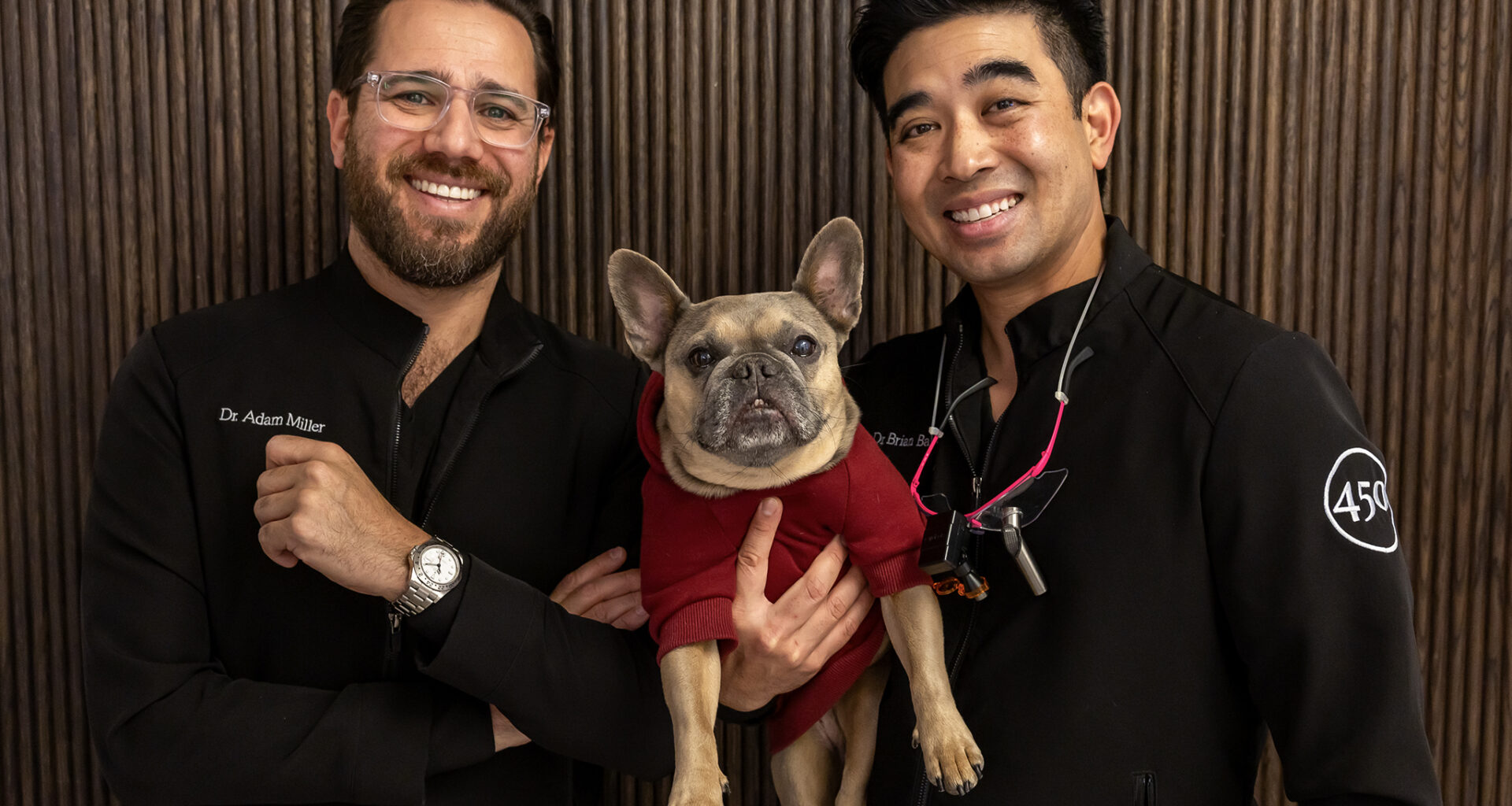 A French bulldog is a bookable option at this SF dentist