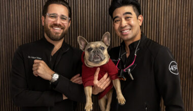 A French bulldog is a bookable option at this SF dentist