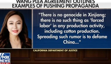 California Mayor Eileen Wang admits to being Chinese foreign agent, spreading propaganda