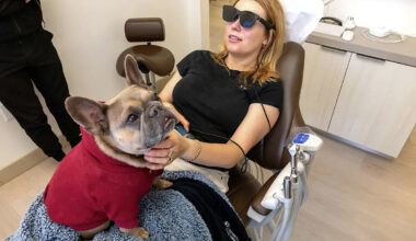 This San Francisco dentist has an emotional support dog