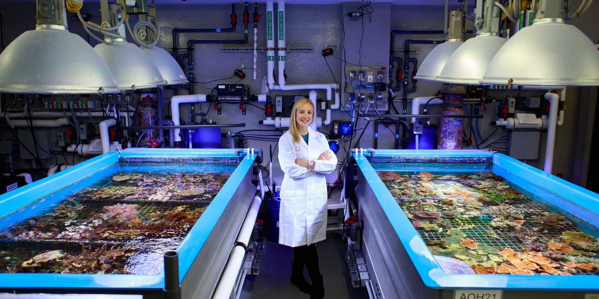 The SF Team of Woman Researchers Saving Coral Reefs
