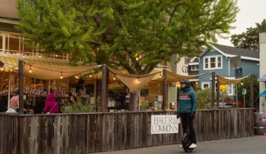 Campaign seeks Elmwood 'historic district' amid housing push