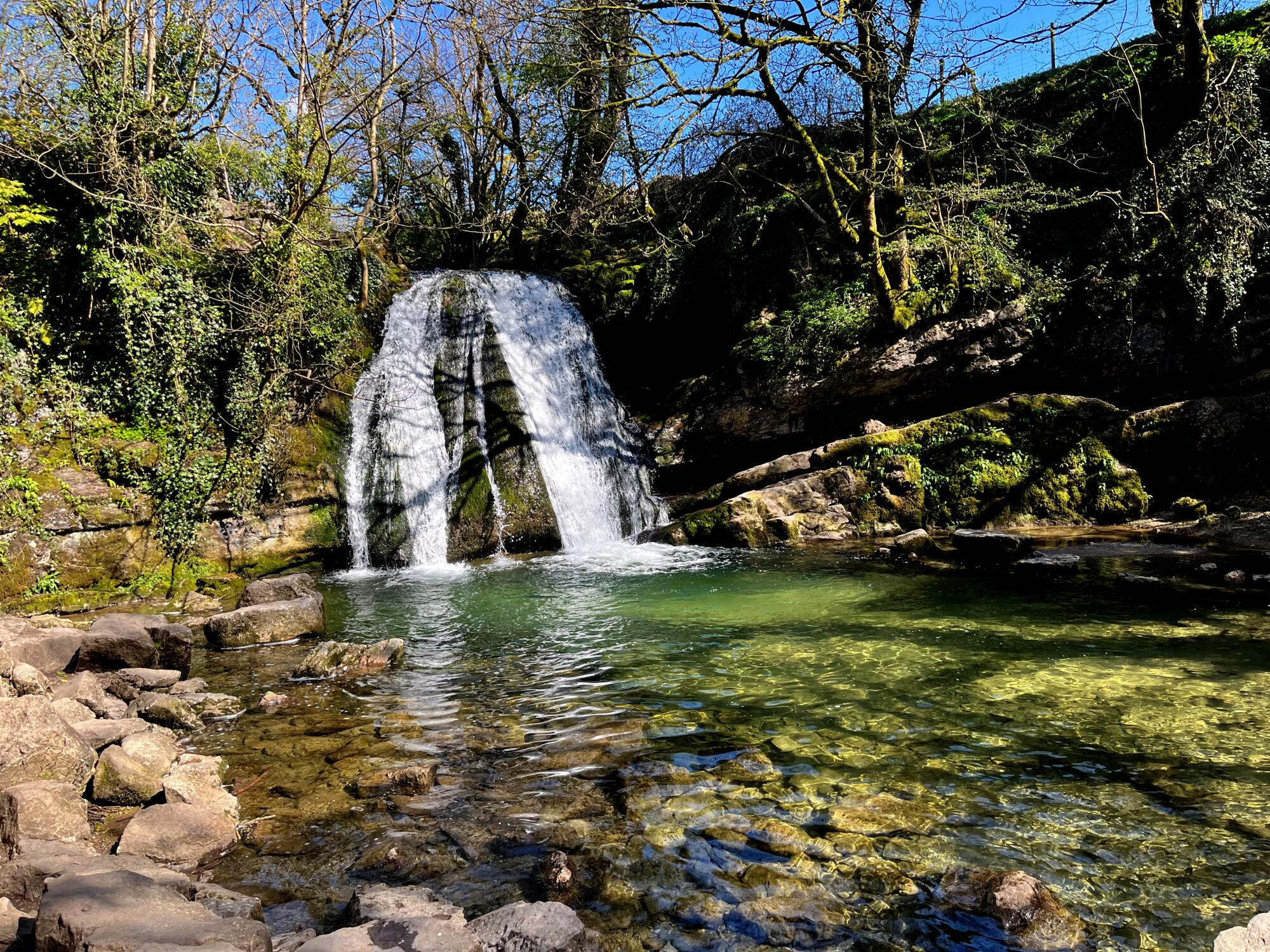 A woodland waterfall and pool.