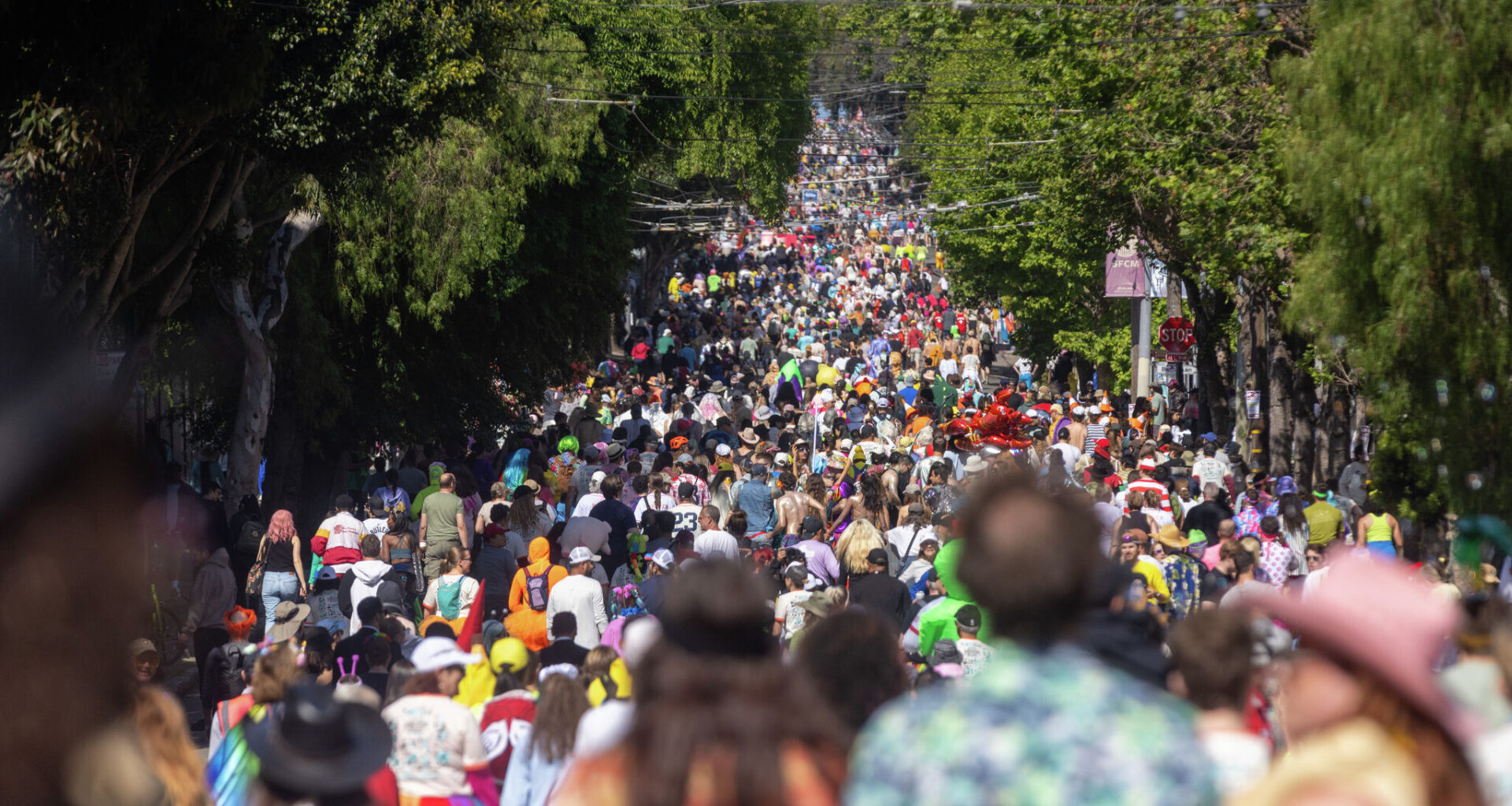 Bay to Breakers to shut down San Francisco roads all weekend