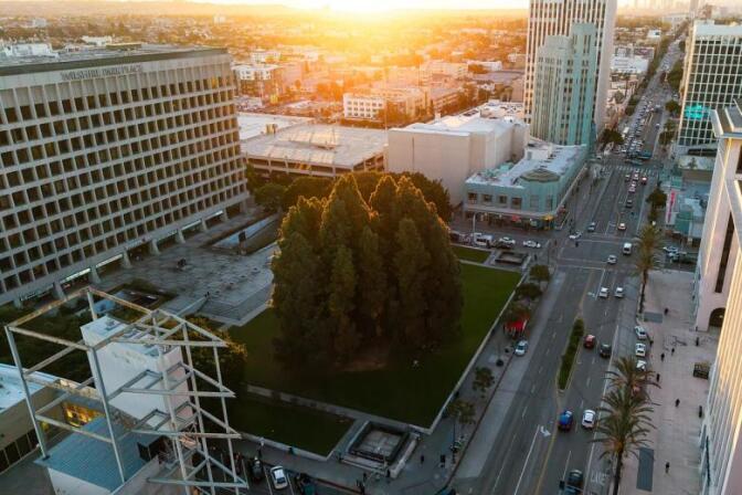 An arial view of a park with large trees in the center in the middle of an area with busy streets and tall buildings around it.