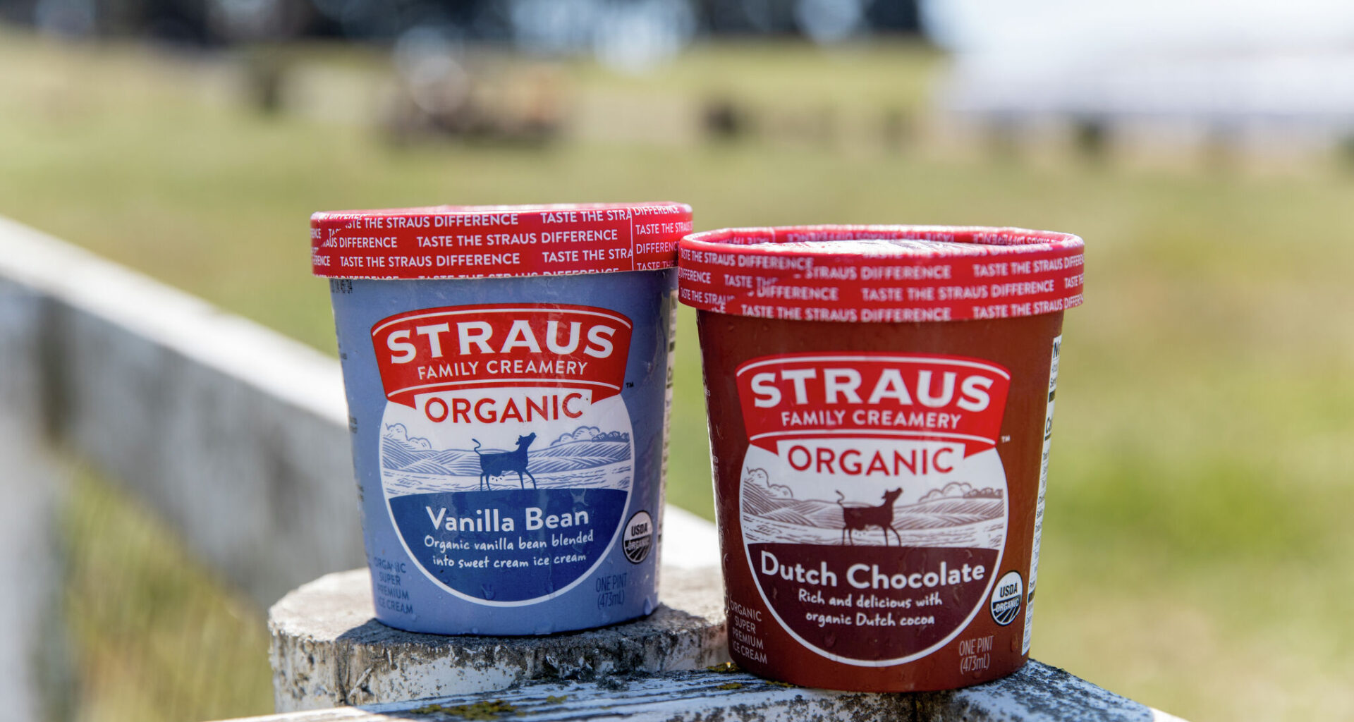 Six flavors of Straus ice cream recalled after possible contamination