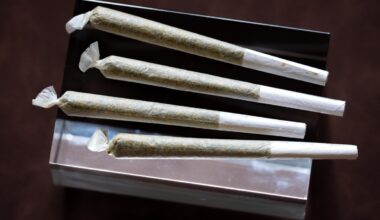 UCSD Study: Cannabis affects childhood brain development, 'real risk' for teens