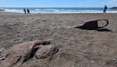 Short Bay Area hike ends at a shipwreck in the sand