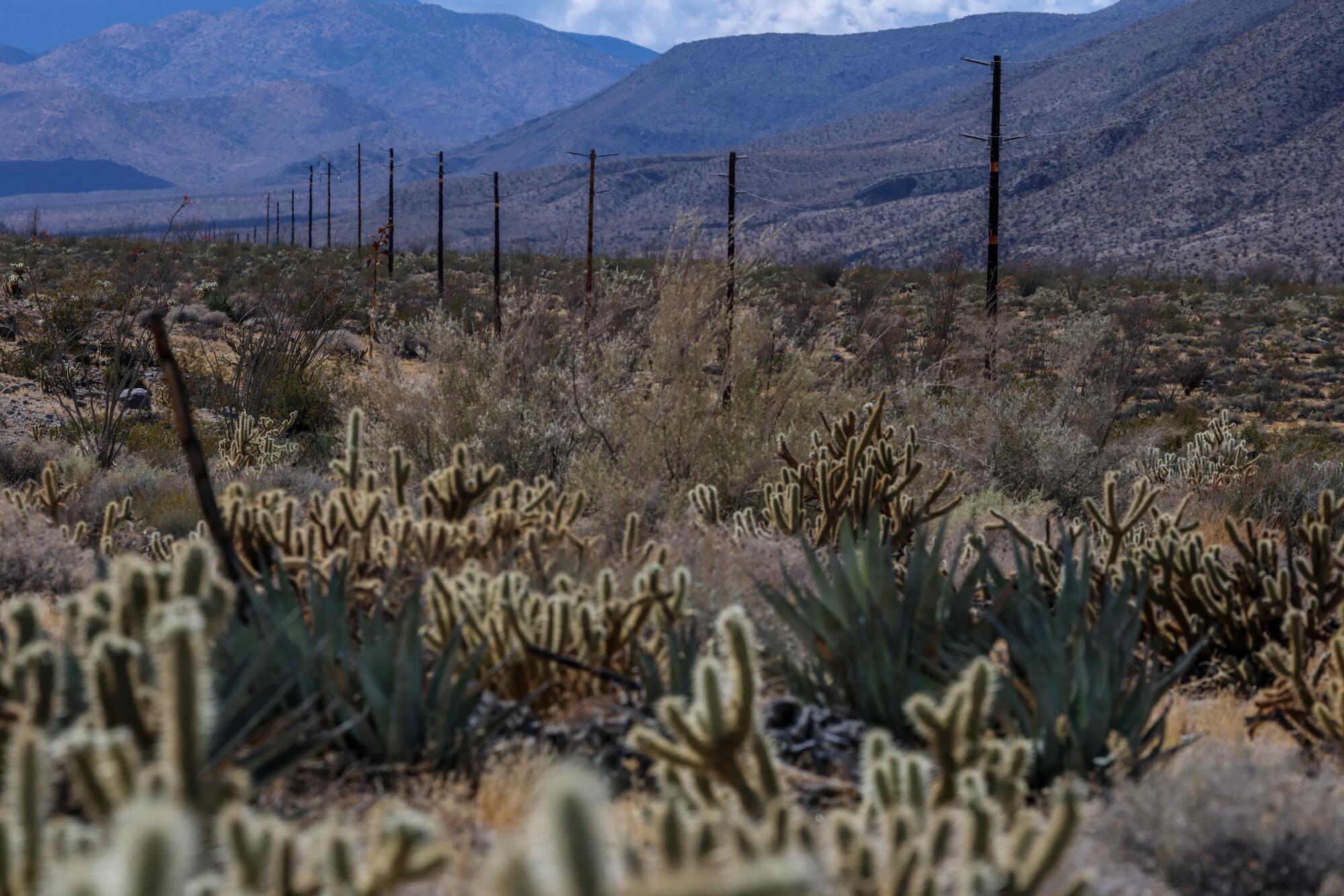 A view of the area along Highway 78 in Anza-Borrego Desert State Park.