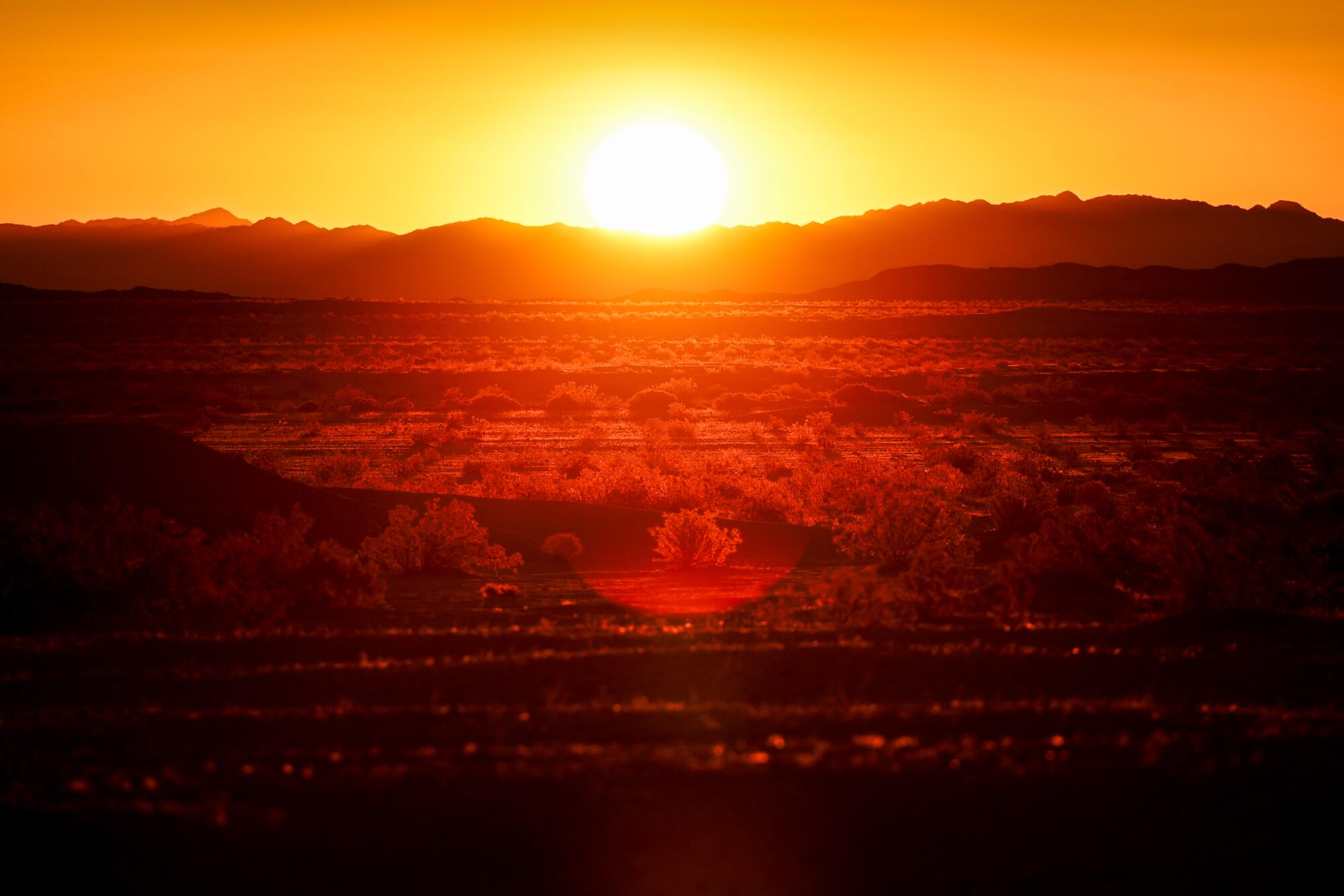 The sun rises over Ocotillo Wells at Anza-Borrego Desert State Park.